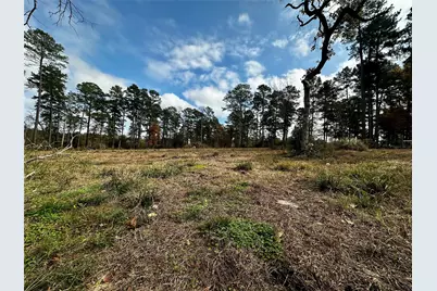 15238 Crape Myrtle Lane, Navasota, TX 77868 - Photo 6