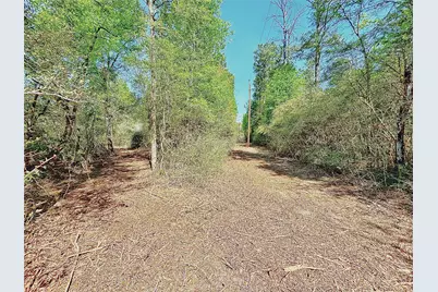 000 Cr 3495, Lovelady, TX 75851 - Photo 14