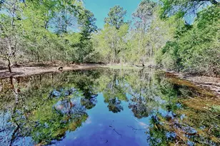 000 Cr 3495, Lovelady, TX 75851 - Photo 1