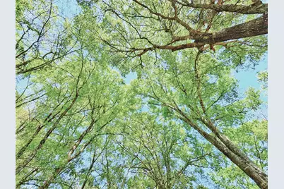 000 Cr 3495, Lovelady, TX 75851 - Photo 16