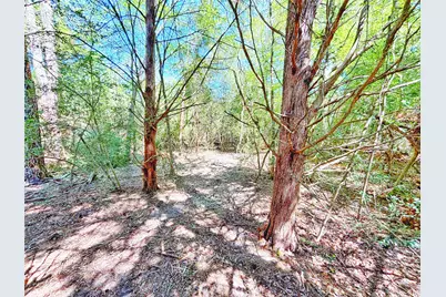 000 Cr 3495, Lovelady, TX 75851 - Photo 12