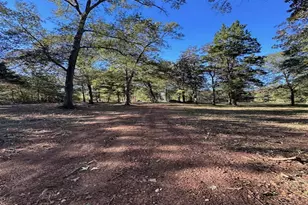 10699 Magnolia Dr, Conroe, TX 77303 - Photo 6