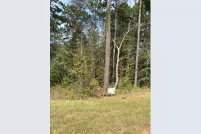 14-37-40 Sandpiper Drive, New Waverly, TX 77358 - Photo 6