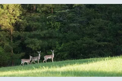14-37-40 Sandpiper Drive, New Waverly, TX 77358 - Photo 1