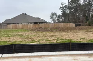 26010 S Outrider Banks, Montgomery, TX 77316 - Photo 6