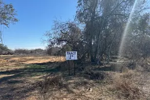 3149 County Rd 124, Floresville, TX 78114 - Photo 2