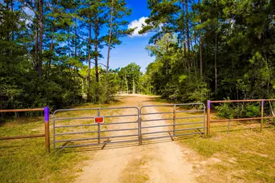 9349 Us-190 W, Livingston, TX 77351 - Photo 2