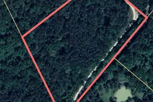 Tbd Preacher Denson Rd, Coldspring, TX 77331 - Photo 1