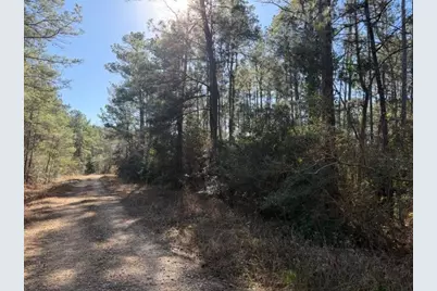 Tbd Preacher Denson Road, Coldspring, TX 77331 - Photo 2
