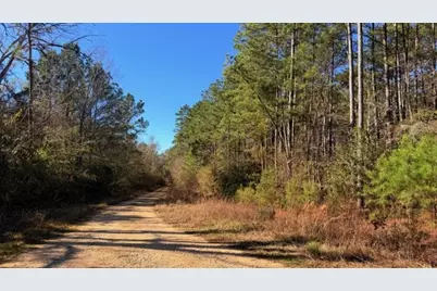 Tbd Preacher Denson Road, Coldspring, TX 77331 - Photo 4