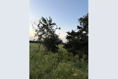 0000 Fm-2293, Bremond, TX 76629 - Photo 8