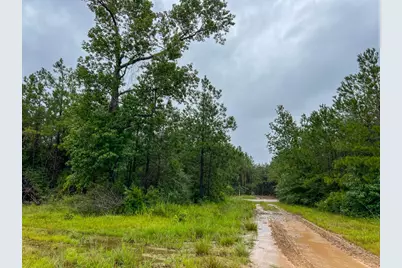 8 Sunflower Road, Livingston, TX 77351 - Photo 6