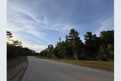 126 Iron Horse Road, Willis, TX 77378 - Photo 6