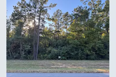 126 Iron Horse Road, Willis, TX 77378 - Photo 2