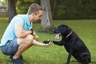 10706 Midnight Ct, Richmond, TX 77469 - Photo 48