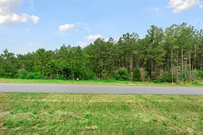 15899 Wood Grove Way, Willis, TX 77378 - Photo 14