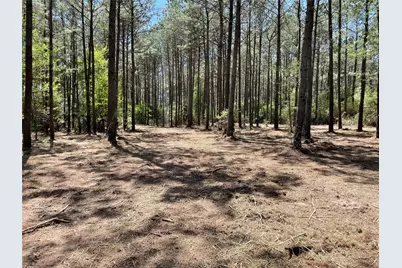 15899 Wood Grove Way, Willis, TX 77378 - Photo 2