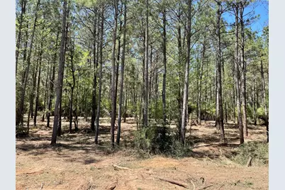 15899 Wood Grove Way, Willis, TX 77378 - Photo 4