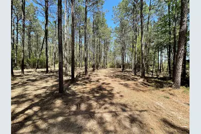 15899 Wood Grove Way, Willis, TX 77378 - Photo 1