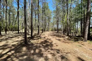 15899 Wood Grv Wy, Willis, TX 77378 - Photo 1