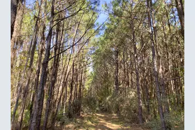 Tbd Cr 1150, Woodville, TX 75979 - Photo 6