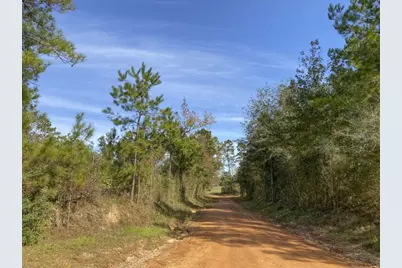 Tbd Cr 1150, Woodville, TX 75979 - Photo 4