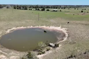 Tr 1 Reitz Quinn Rd, Cat Spring, TX 78933 - Photo 8