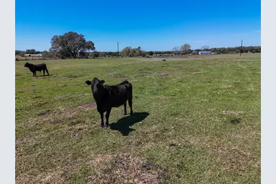 Tr. 1 Reitz Quinn Road, Cat Spring, TX 78933 - Photo 6