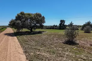 Tr 1 Reitz Quinn Rd, Cat Spring, TX 78933 - Photo 10