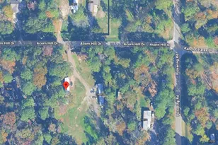 19388 Acorn Hill Dr, Conroe, TX 77302 - Photo 2