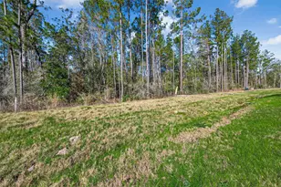 11623 Dawn Tree Ln, Willis, TX 77378 - Photo 4