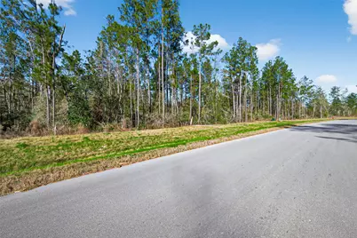 11623 Dawn Tree Lane, Willis, TX 77378 - Photo 1