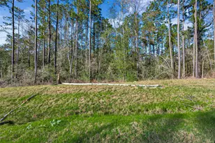 11623 Dawn Tree Ln, Willis, TX 77378 - Photo 6