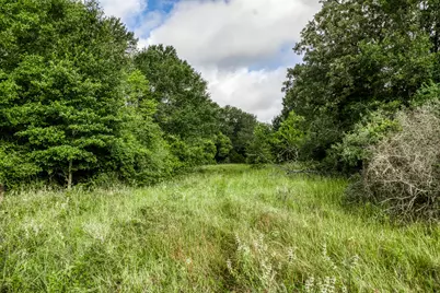 Tract 3 S Nassau Road, Round Top, TX 78954 - Photo 14