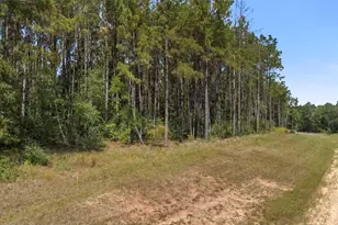 15896 Ridge Oak Rd, Willis, TX 77378 - Photo 22