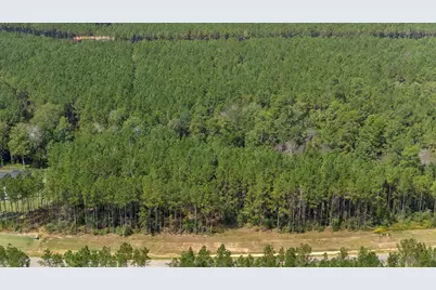 15896 Ridge Oak Road, Willis, TX 77378 - Photo 16