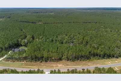 15896 Ridge Oak Road, Willis, TX 77378 - Photo 8