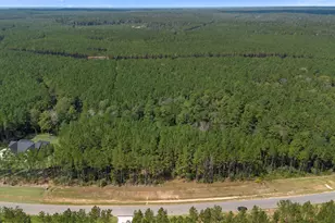 15896 Ridge Oak Rd, Willis, TX 77378 - Photo 8