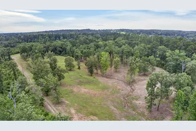9.363 Acres Fm 229, Grapeland, TX 75844 - Photo 8