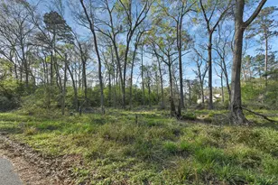 231 Chariot Ln, Roman Forest, TX 77357 - Photo 10