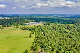 223 Rush Creek Ln, Trinity, TX 75862 - Photo 22