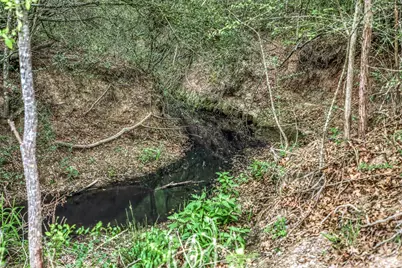 7157 Fm 1697, Carmine, TX 78932 - Photo 40