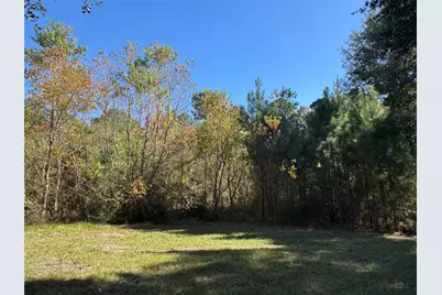 24879 Macedonia Road, Hockley, TX 77447 - Photo 16