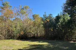 24879 Macedonia Rd, Hockley, TX 77447 - Photo 16