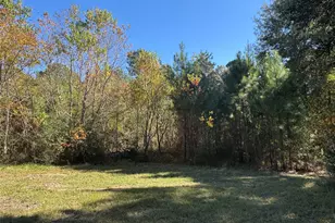 24879 Macedonia Rd, Hockley, TX 77447 - Photo 4