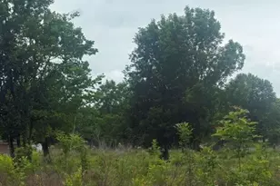 0 Co Rd 2500, Liberty, TX 77575 - Photo 1