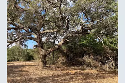 11 Acres Loose Cow Rd, Garwood, TX 77442 - Photo 6