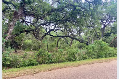 11 Acres Loose Cow Rd, Garwood, TX 77442 - Photo 4