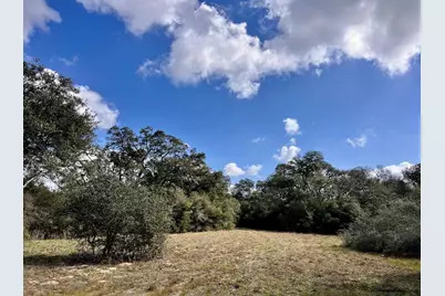 11 Acres Loose Cow Rd, Garwood, TX 77442 - Photo 2