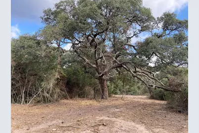 11 Acres Loose Cow Rd, Garwood, TX 77442 - Photo 12